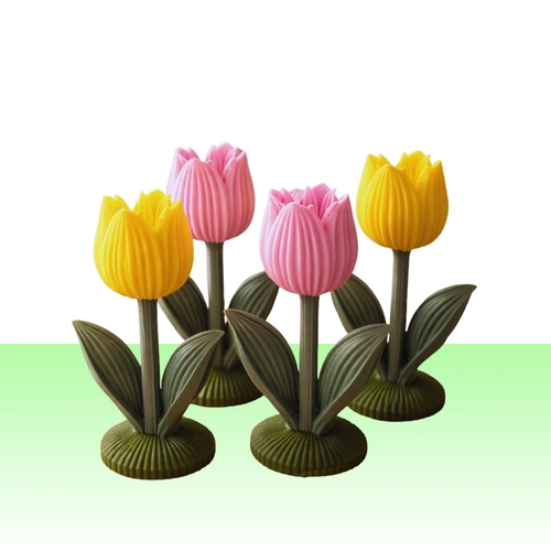 Japandi Tulp